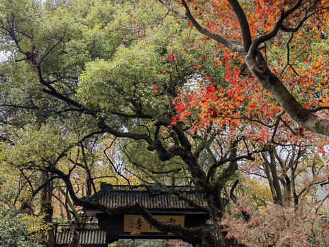 灵隐寺