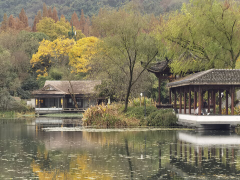 西湖秋色