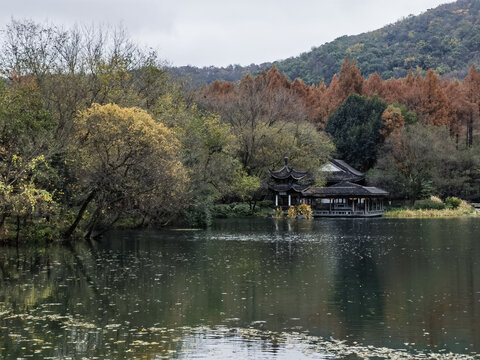 西湖秋色