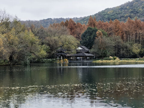 西湖秋色