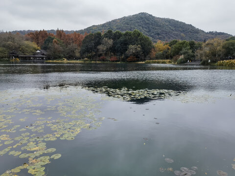 西湖秋色