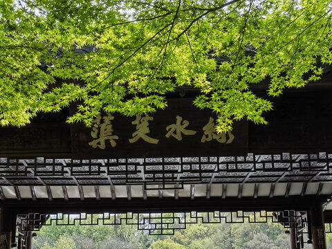 杭州西湖绿水芙蕖