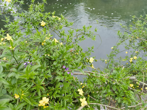 西湖太子湾