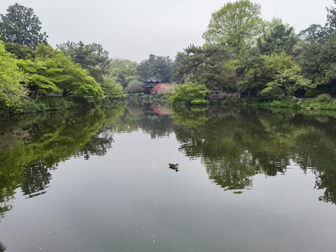 杭州西湖