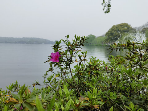 杭州西湖