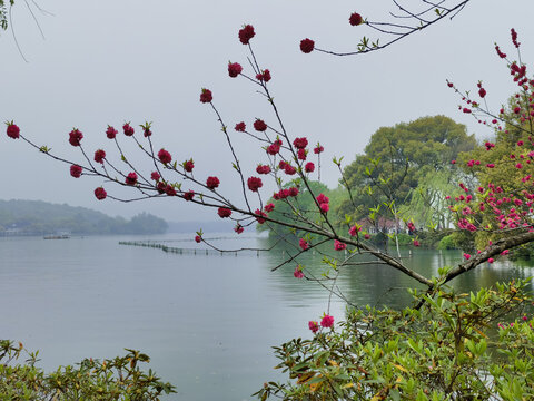 杭州西湖