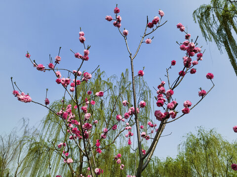 杭州西湖