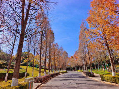 云南大学呈贡校区公路