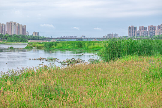 城市湿地公园