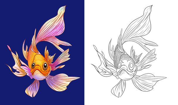 手绘金鱼锦鲤插画