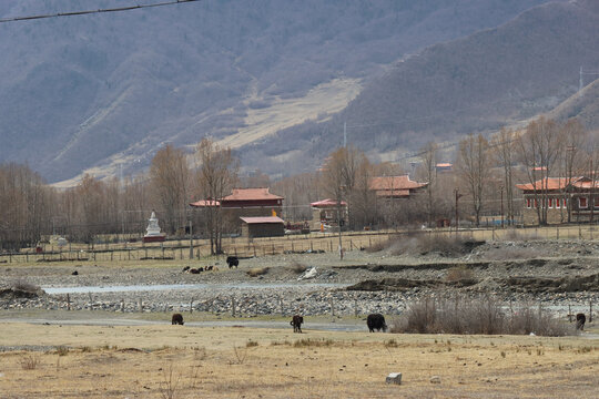西藏新都桥藏寨