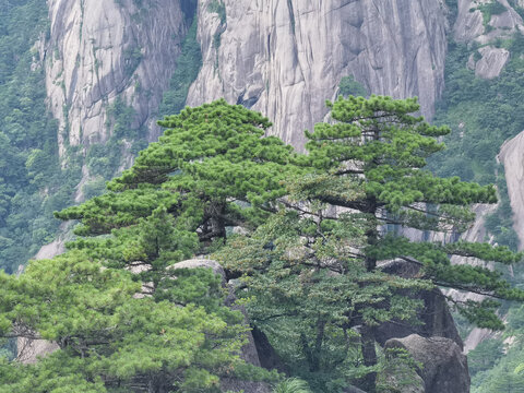 黄山莲花峰