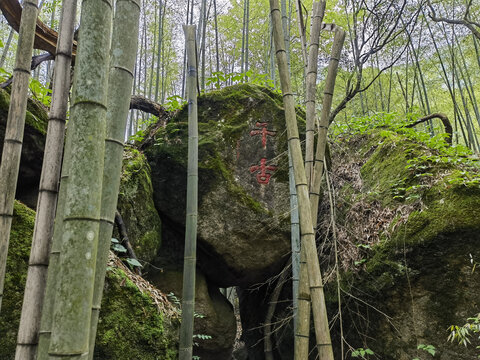 黄山云谷寺
