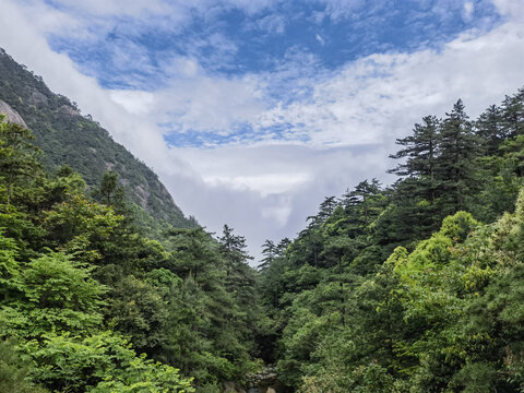 黄山云谷寺