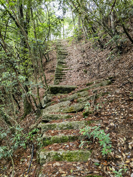 黄山云谷寺