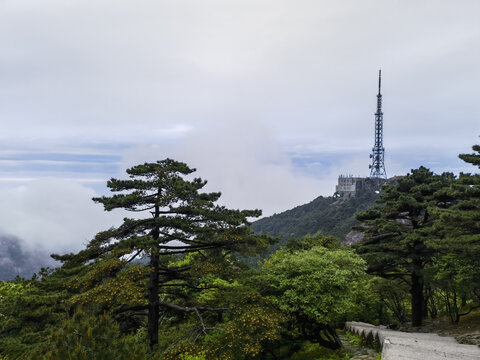 黄山云海