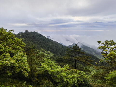 黄山云海