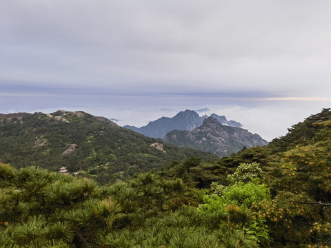 黄山云海