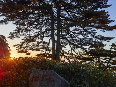 黄山始信峰