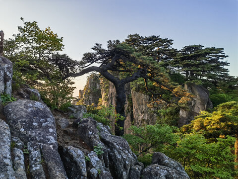 黄山始信峰