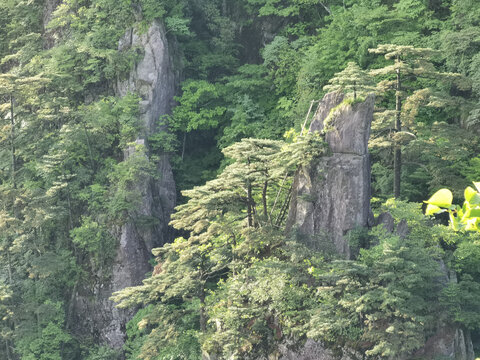 黄山