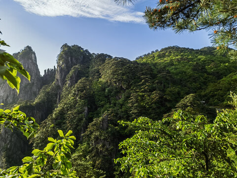 黄山