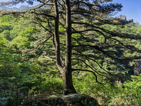 黄山西海大峡谷