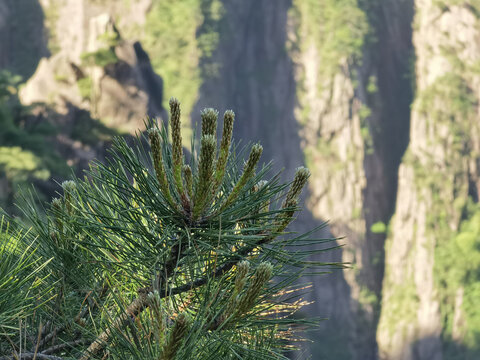 黄山西海大峡谷