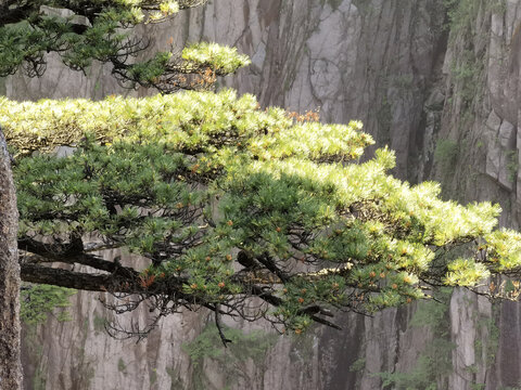 黄山西海大峡谷