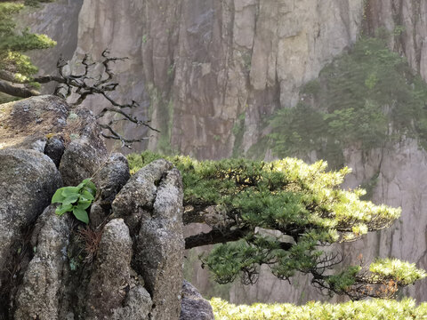 黄山西海大峡谷