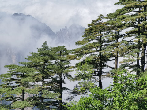 黄山西海大峡谷