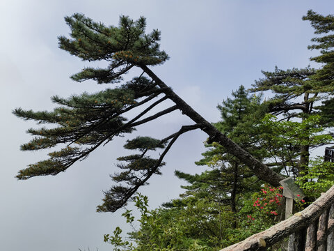 黄山西海大峡谷