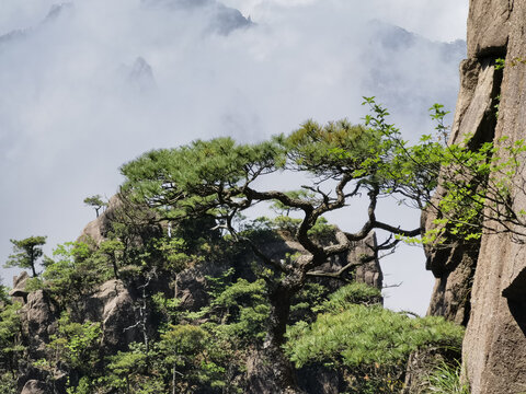 黄山西海大峡谷