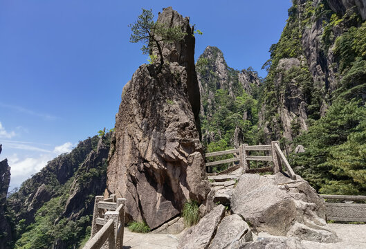 黄山巧石