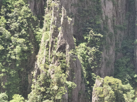 黄山巧石