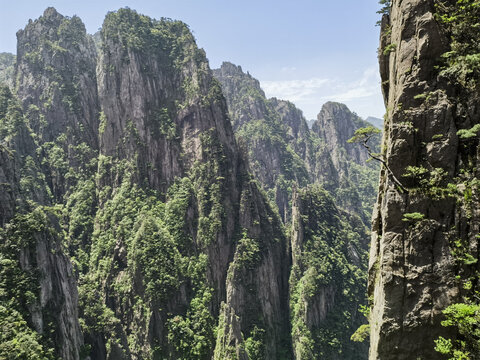 黄山巧石