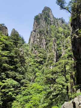 黄山巧石
