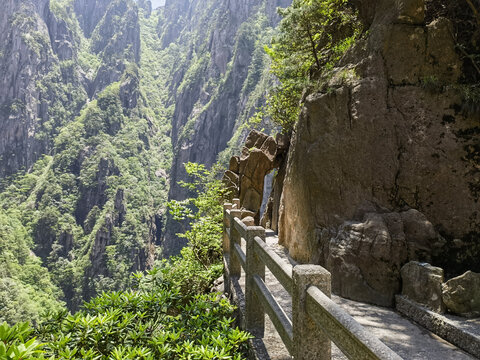 黄山巧石