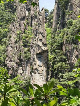 黄山巧石