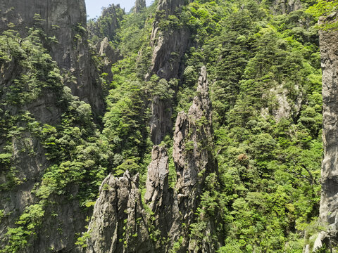 黄山巧石