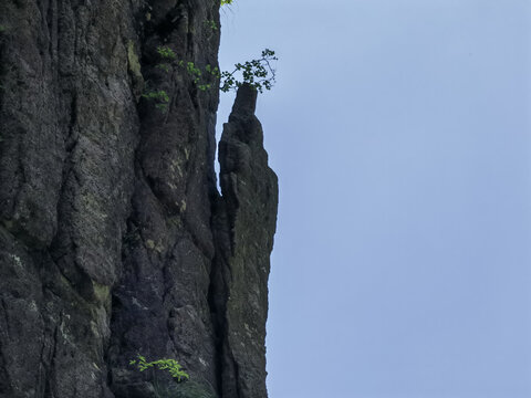 黄山巧石