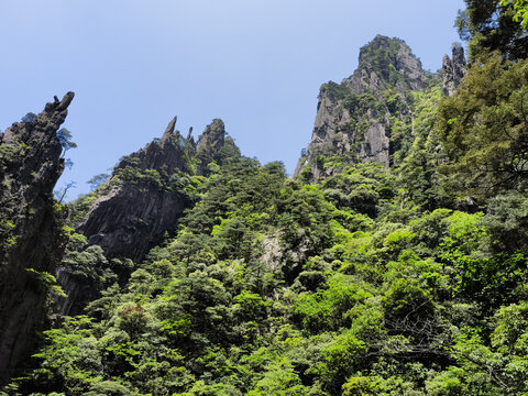 西海大峡谷海底世界