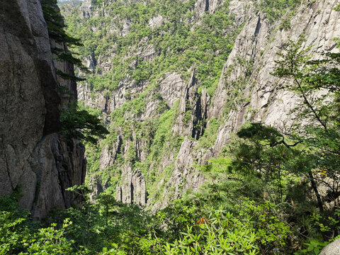 黄山奇石