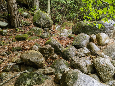 黄山乾隆御道