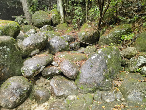 黄山云谷寺