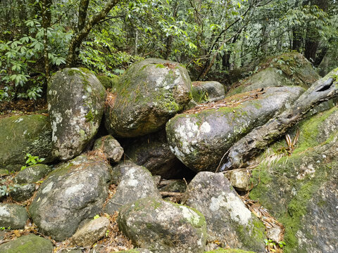 黄山