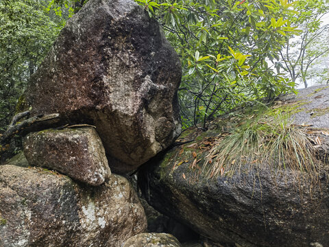黄山