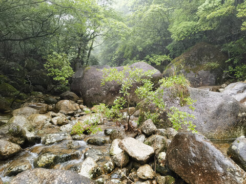 黄山云谷寺