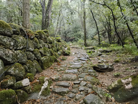 黄山云谷寺