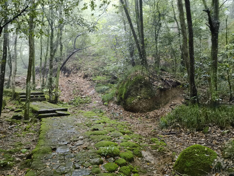 黄山云谷寺